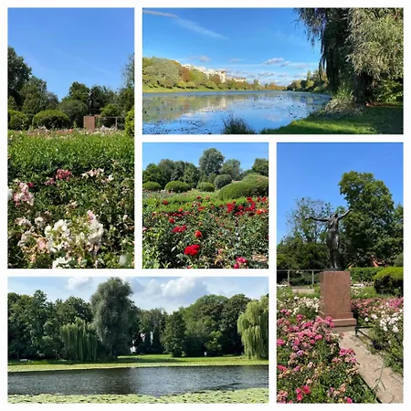 Xiii Pietro Stadion Narodowy Varsóvia